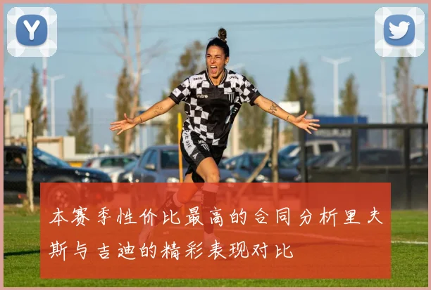 本赛季性价比最高的合同分析里夫斯与吉迪的精彩表现对比