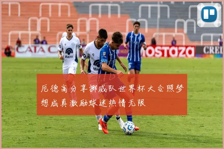 厄德高分享挪威队世界杯大合照梦想成真激励球迷热情无限